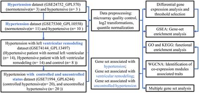 Identification of intrinsic genes across general hypertension, hypertension with left ventricular remodeling, and uncontrolled hypertension